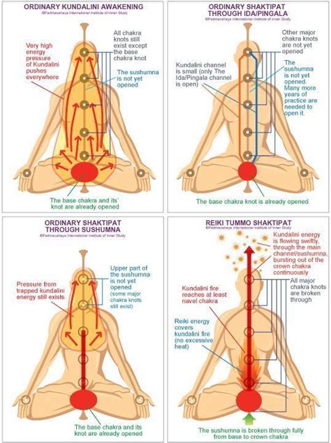 instant and safe kundalini awakening padmacahaya reiki healing chakra healing energy healing