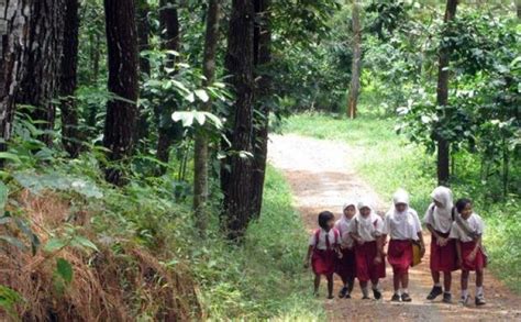 Pelajar Di Subang Terpaksa Pergi Sekolah Melewati Hutan