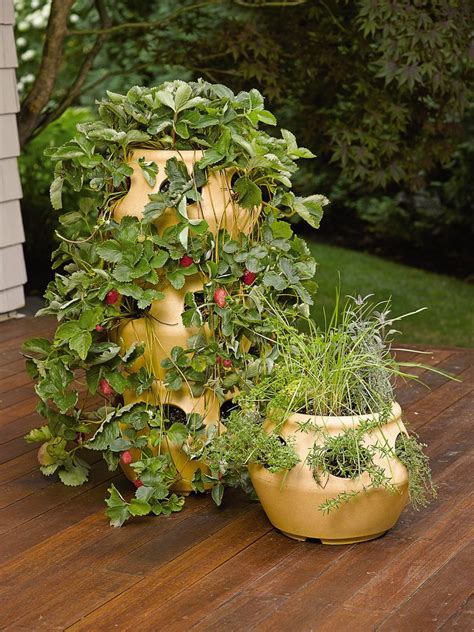 Strawberry And Herb Planter Terracotta Colored Polyethylene Pot Herb