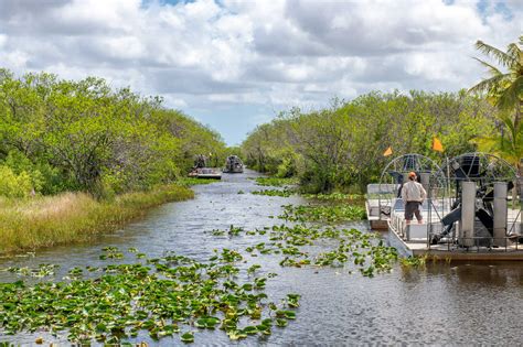 The Best Everglades Tour For Your Next Florida Adventure