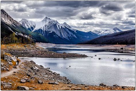 Elch Im See Foto And Bild North America Canada Landschaft Bilder Auf