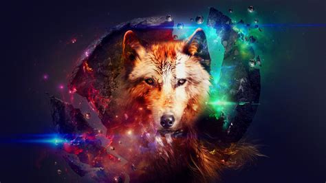Hd Wolf Wallpapers 1080p Wallpaper Cave