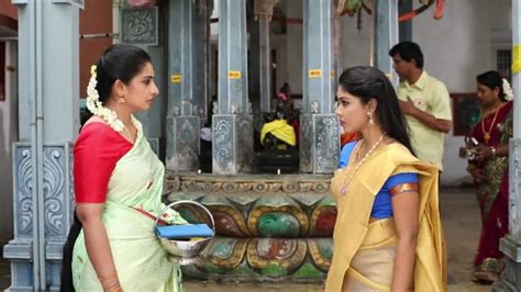 Pandian Stores Watch Episode 48 Meena Talks To Dhanam On Disney