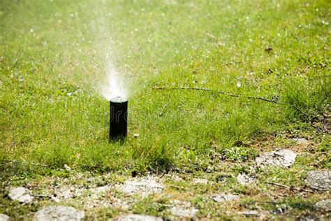 Gardening Lawn Sprinkler Spraying Water Over Grass Stock Image