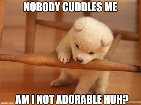 26 Cuddle Memes That Will Make You Snuggle In Love