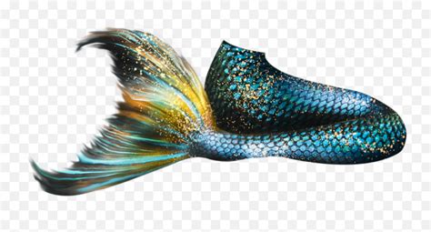 Mermaid Tail Png Mermaid Real Tail Png Mermaid Tail Png Free Transparent Png Images