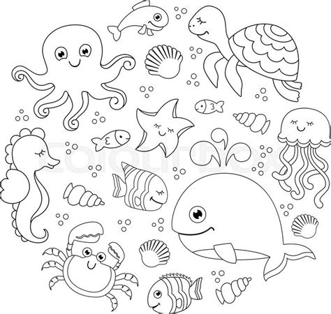 How To Draw An Ocean Animal Museonart