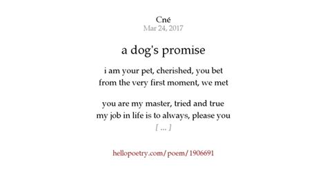 A Dogs Promise By Cné Hello Poetry