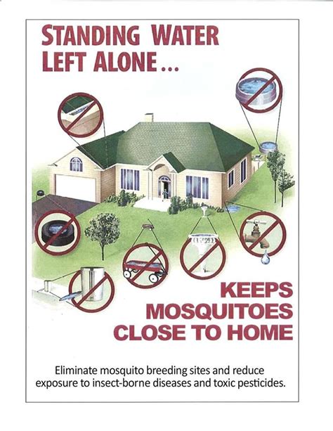 Prevent Mosquito Breeding Around Your Home This Season Without