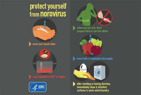 Norovirus Disease Of The Week Cdc