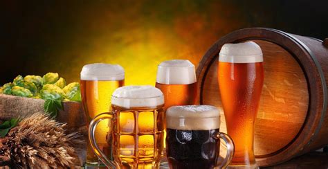 12 Reasons To Drink Beer | Healthy Fat Burning Foods For You