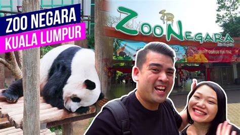 Zoo Negara Kuala Lumpur Day Trip Things Do To In Kuala Lumpur