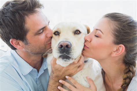 Dating Sites Go To The Dogs Matchmaking For Pet Lovers
