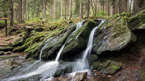 Mossy Mystic Falls Rocks Moss Nature Trees Waterfalls Forests Hd