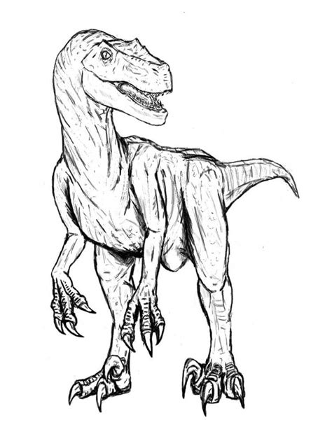 Velociraptor 1 Coloring Page Free Printable Coloring Pages For Kids