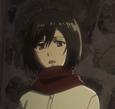 Mikasa Eren Aot Aot Wallpaper Aot Anime Rivamika Aot Characters