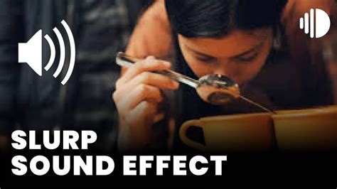 Slurp Sound Effect Sound Effect MP Download