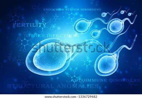 3d Illustration Human Sperm Cell 스톡 일러스트 1336729682 Shutterstock
