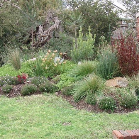 Landscape Design Australian Native Plants