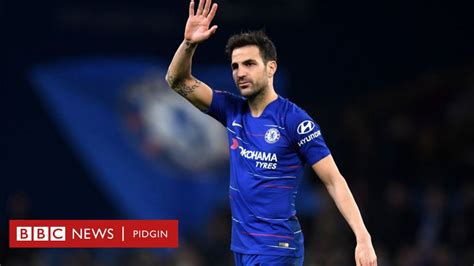 Cesc Fabregas Chelsea Midfielder Don Join Monaco Bbc News Pidgin