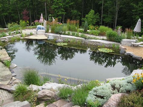 Natural swimming pool design utilizing shotcrete inground pool shell with natural sandstone retaining walls, seamless slate stamped concrete decking, 30 dia. Natural Swimming Pools Design Ideas, Inspirations, Photos