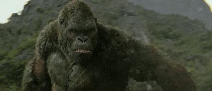 Godzilla vs kong 2021 godzilla arrives scene mechagodzilla revealed 2021. Ever Wonder Why Kong Didn't Appear In 'Godzilla: King Of ...