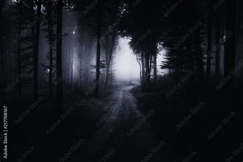 Scary Path In Dark Forest At Night Surreal Landscape Stock Photo