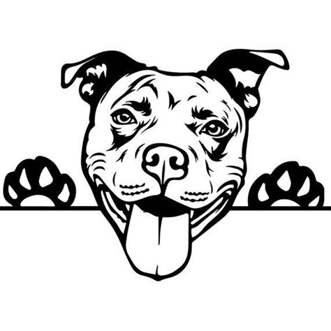 Dog Paw Terrier Svg American Pitbull Svg File Pit Bull Svg Pet Logo Svg