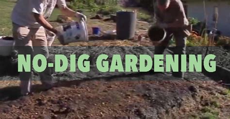 Maybe you would like to learn more about one of these? An Excellent No-Dig Garden Demonstration | The Survival ...