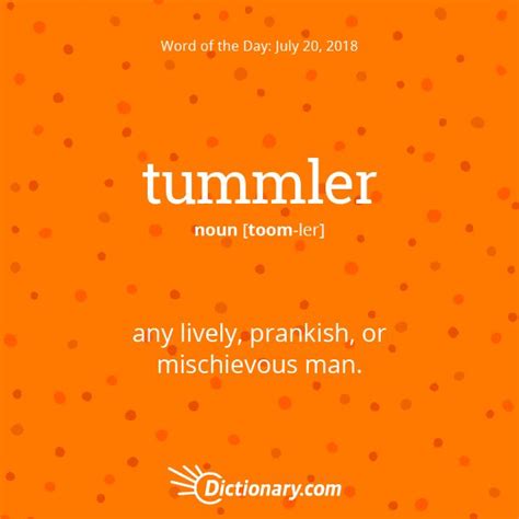 S Word Of The Day Tummler Any Lively Prankish Or