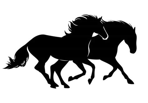 Horse Silhouette Stock Photos Pictures And Royalty Free Images Istock