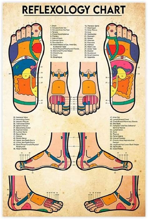Foot Reflexology Chart Poster 1 Reflexology Poster Therapy Posters