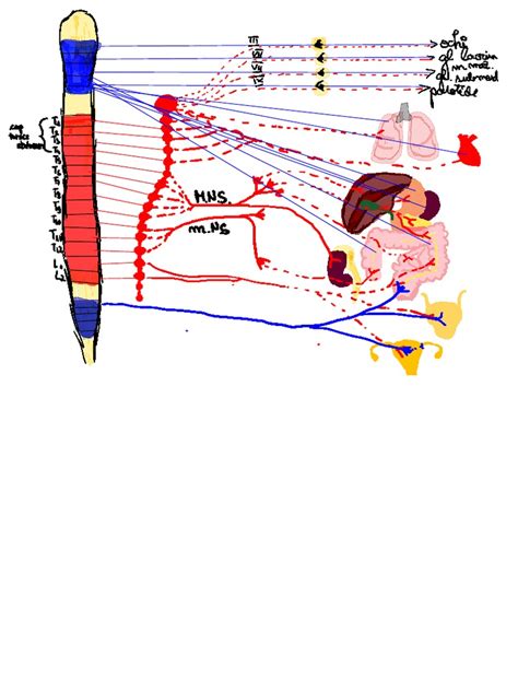 Desen Biologie Pdf