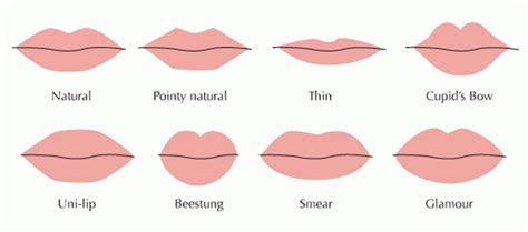 Yaitu, sistem penyaringan dengan menggunakan sponge atau yang biasa kita sebut dengan spons. 6 Tips Memilih Warna Gincu yang Paling Cocok Buat Bibir ...