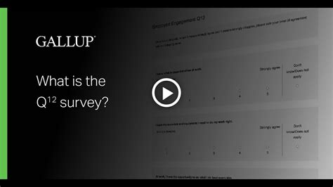 what is gallup s q12 employee engagement survey youtube