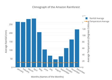 Amazon Rainforest Rainfall Chart