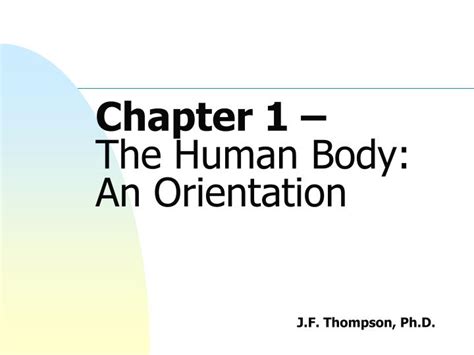 Ppt Chapter 1 The Human Body An Orientation Powerpoint