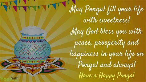 Happy Pongal Festival Wishes Messages Greetings With Images