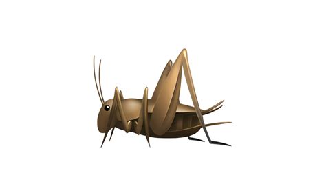 🦗 Cricket Emoji — Meaning Copy And Paste