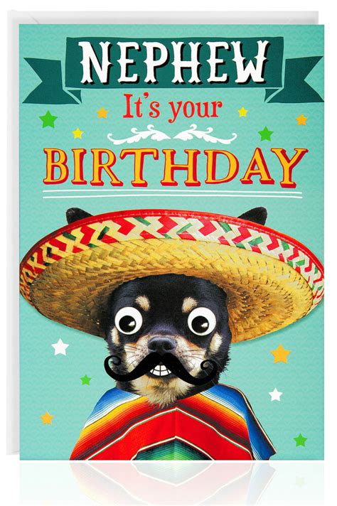 Writing poems is a great way to wish someone a happy birthday. NEPHEW Birthday Card - Funny Humour Animal Dog Greetings Blue - OTC7516 | eBay