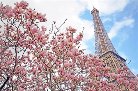 Best Places To Visit In France In Spring 2024 France Spring Ideas