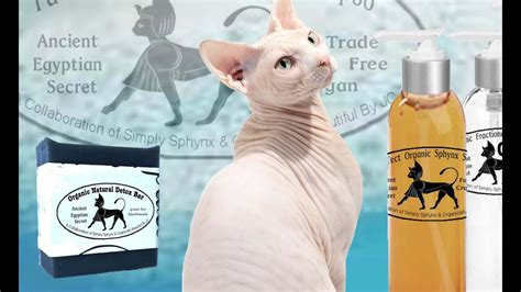 Simply Sphynx Cat Spa Day 3 Bath With Simply Sphynx Skin System New