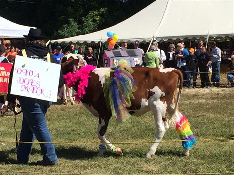 Asheboro Fall Festival 2024 - Una Lianne