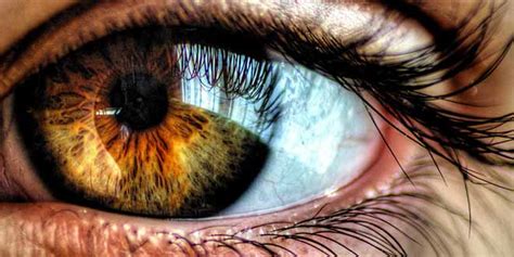 Apples are high in fiber especially the peelings and good for those with constipation. 5 Top Foods for Good Eye Health - HTV