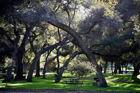 Live Oak County Park Weddings San Diego Wedding Venue Fallbrook CA