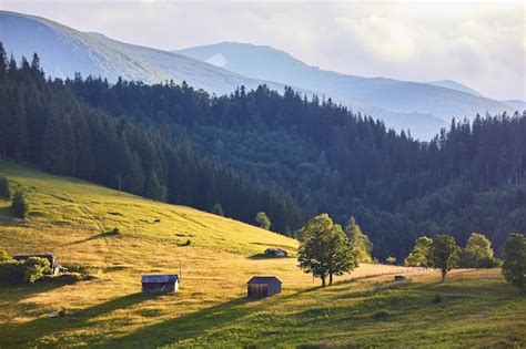 Premium Photo Idyllic Landscape In The Alps With Fresh Green Meadows