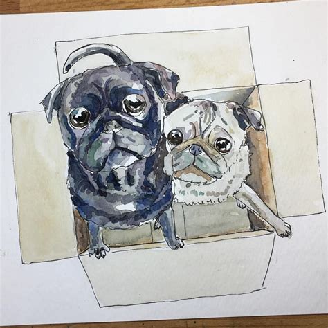 Two Pug Dogs Are Sitting In A Box