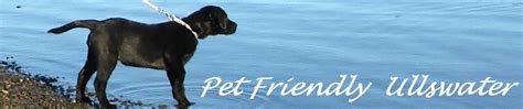 Uk travel and tourism offers pet friendly b&bs, hotels, cottages and camp sites throughout uk and ireland. Ullswater pet friendly hotels, cottages, B&Bs and campsites