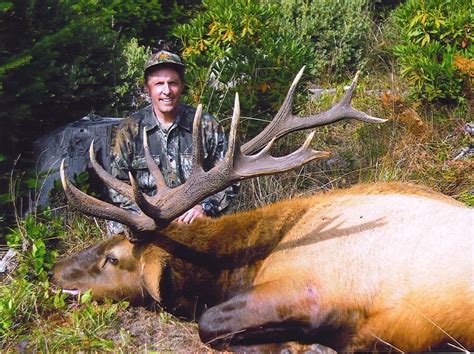 5 Day Oregon Roosevelt Elk Hunt With Eden Ridge Outfitters