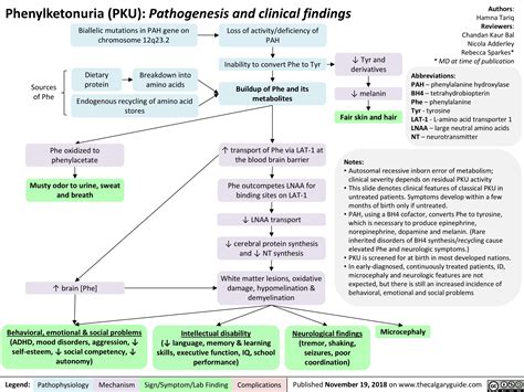 Phenylketonuria Pku Pathogenesis And Clinical Findings Calgary Guide